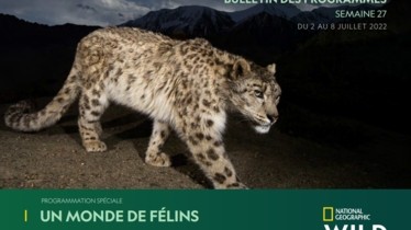 Chaîne National Geographic Wild - Bulletin des programmes semaine 27 - du 2 au 8 juillet