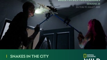 Chaîne National Geographic Wild - Bulletin des programmes semaine 28 - du 9 au 15 juillet