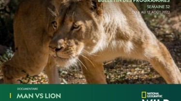 Chaîne National Geographic Wild - Bulletin des programmes semaine 32 - du 6 au 12 août