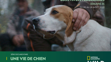 Chaîne National Geographic Wild - Bulletin des programmes semaine 34 - du 20 au 26 août