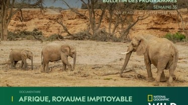 Chaîne National Geographic Wild - Bulletin des programmes semaine 35 - du 27 août au 2 septembre