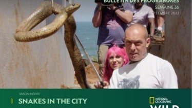 Chaîne National Geographic Wild - Bulletin des programmes semaine 36 - du 3 septembre au 9 septembre