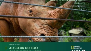 Chaîne National Geographic Wild - Bulletin des programmes semaine 38 - du 17 au 23 septembre