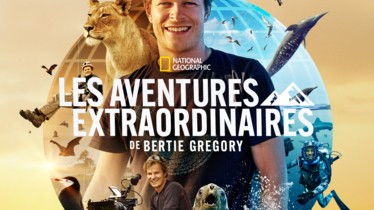 Un nouvel extrait de la série originale « LES AVENTURES EXTRAORDINAIRES DE BERTIE GREGORY », montre le plus grand rassemblement de rorquals communs jamais filmé