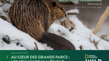 Chaîne National Geographic Wild - Bulletin des programmes semaine 40 - du 1er au 7 octobre