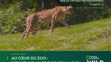 Chaîne National Geographic Wild - Bulletin des programmes semaine 42 - du 15 au 21 octobre