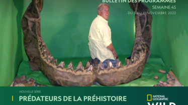 Chaîne National Geographic Wild - Bulletin des programmes semaine 45- du 5 au 11 novembre