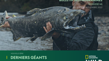 Chaîne National Geographic Wild - Bulletin des programmes semaine 46 - du 12 au 18 novembre