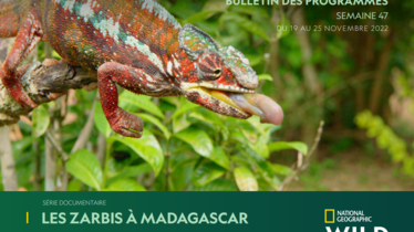 Chaîne National Geographic Wild - Bulletin des programmes semaine 47 - du 19 au 25 novembre