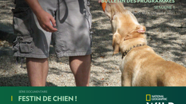 Chaîne National Geographic Wild - Bulletin des programmes semaine 1 - du 31 décembre au 6 janvier
