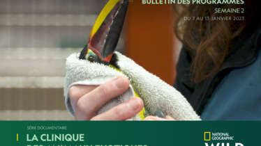 Chaîne National Geographic Wild - Bulletin des programmes semaine 2 - du 7 au 13 janvier
