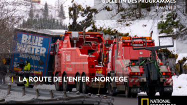 Chaîne National Geographic - Bulletin des programmes semaine 3 - du 14 au 20 janvier