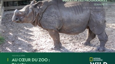 Chaîne National Geographic Wild - Bulletin des programmes semaine 11 - du 11 au 17 mars