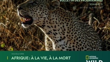 Chaîne National Geographic Wild - Bulletin des programmes semaine 15 - du 8 au 14 avril