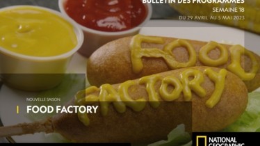 Chaîne National Geographic - Bulletin des programmes semaine 18 - du 29 avril au 5 mai