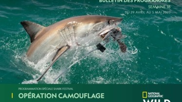 Chaîne National Geographic Wild - Bulletin des programmes semaine 18 - du 29 avril au 5 mai