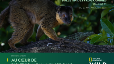 Chaîne National Geographic Wild - Bulletin des programmes semaine 22 - du 27 mai au 2 juin