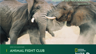 Chaîne National Geographic Wild - Bulletin des programmes semaine 27 - du 1 au 7 juillet