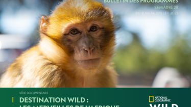 Chaîne National Geographic Wild - Bulletin des programmes semaine 28 - du 8 au 14 juillet