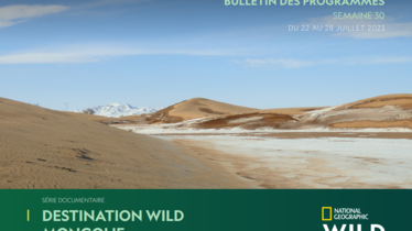 Chaîne National Geographic Wild - Bulletin des programmes semaine 30 - du 22 au 28 juillet