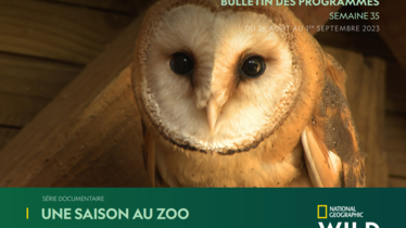 Chaîne National Geographic Wild - Bulletin des programmes semaine 35 - du 26 août au 1 septembre