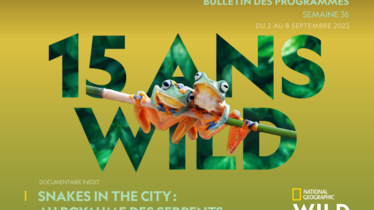 Chaîne National Geographic Wild - Bulletin des programmes semaine 36 - du 2 au 8 septembre
