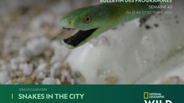 Chaîne National Geographic Wild - Bulletin des programmes semaine 43 - du 21 au 27 octobre