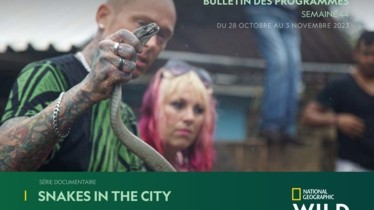 Chaîne National Geographic Wild - Bulletin des programmes semaine 44 - du 28 au 3 novembre