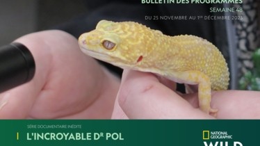 Chaîne National Geographic Wild - Bulletin des programmes semaine 48 - du 25 au 1 décembre