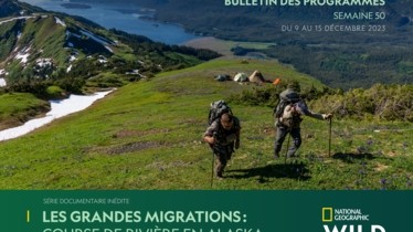 Chaîne National Geographic Wild - Bulletin des programmes semaine 50 - du 9 au 15 décembre