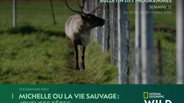 Chaîne National Geographic Wild - Bulletin des programmes semaine 52 - du 23 au 29 décembre