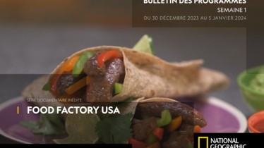 Chaîne National Geographic - Bulletin des programmes semaine 1 - du 30 au 5 janvier