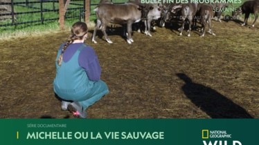 Chaîne National Geographic Wild - Bulletin des programmes semaine 3 - du 13 au 19 janvier