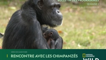 Chaîne National Geographic Wild - Bulletin des programmes semaine 5 - du 27 au 2 février