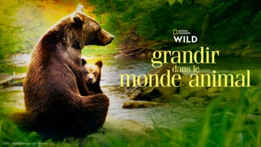 « Grandir dans le monde animal » - commencez l’année dans un cocon de douceur avec la diffusion de la série documentaire à partir du vendredi 12 janvier à 18h20 sur la chaîne National Geographic Wild