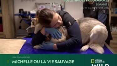 Chaîne National Geographic Wild - Bulletin des programmes semaine 8 - du 17 au 23 février