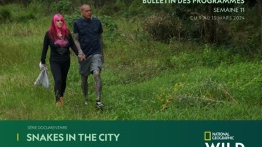 Chaîne National Geographic Wild - Bulletin des programmes semaine 11 - du 9 mars au 15 mars