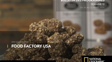 Chaîne National Geographic - Bulletin des programmes semaine 12 - du 16 mars au 22 mars