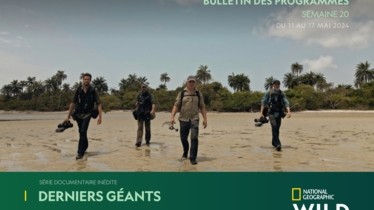 Chaîne National Geographic Wild - Bulletin des programmes semaine 20 - du 11 mai au 17 mai