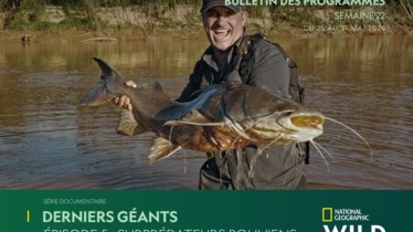 Chaîne National Geographic Wild - Bulletin des programmes semaine 22 - du 25 mai au 31 mai