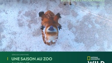 Chaîne National Geographic Wild - Bulletin des programmes semaine 26 - du 22 juin au 28 juin