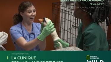 Chaîne National Geographic Wild - Bulletin des programmes semaine 27 - du 29 juin au 5 juillet