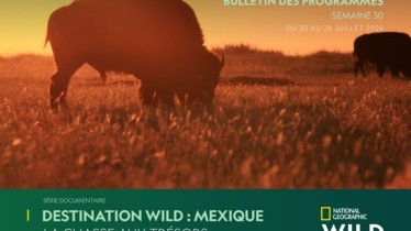Chaîne National Geographic Wild - Bulletin des programmes semaine 30 - du 20 juillet au 26 juillet