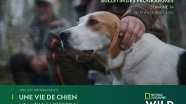Chaîne National Geographic Wild - Bulletin des programmes semaine 34 - du 17 au 23 août