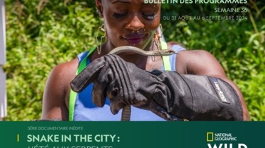 Chaîne National Geographic Wild - Bulletin des programmes semaine 36 - du 31 au 6 septembre