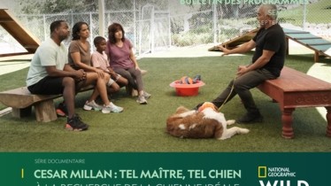 Chaîne National Geographic Wild - Bulletin des programmes semaine 37 - du 7 au 13 septembre