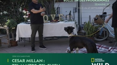 Chaîne National Geographic Wild - Bulletin des programmes semaine 39 - du 21 au 27 septembre