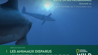 Chaîne National Geographic Wild - Bulletin des programmes semaine 44 - du 26 octobre au 1er novembre 2024