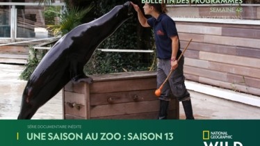 Chaîne National Geographic Wild - Bulletin des programmes semaine 48 - du 23 au 29 novembre 2024
