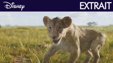 MUFASA : LE ROI LION | Vivez l’expérience ultime en découvrant le nouveau film événement des studios Disney aux formats 3D et premium